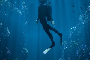 アリカンテ：スキューバダイビング体験をご体験ください