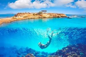 Alicante : Recorrido por la Costa en E-Bike, Piscifactoría Romana y Snorkel