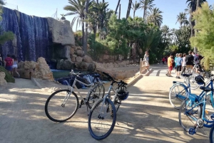 アリカンテ：ハイライトバイクツアー