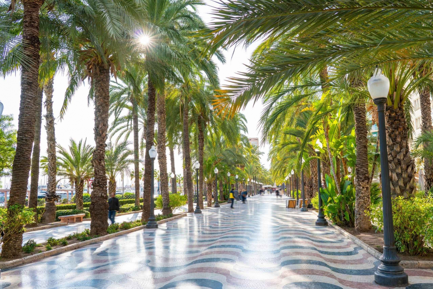 Visite à pied d'Alicante : lieux d'intérêt et vie locale