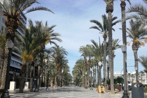 Tour a pie por Alicante: monumentos y vida local