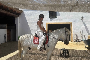 アリカンテ発：絶景の乗馬体験＆ピクニック（ホテルへのお迎え付き）