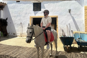 アリカンテ発：絶景の乗馬体験＆ピクニック（ホテルへのお迎え付き）