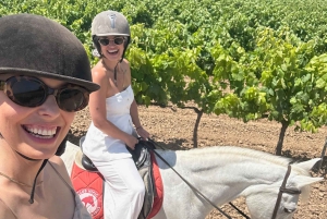 アリカンテ発：絶景の乗馬体験＆ピクニック（ホテルへのお迎え付き）