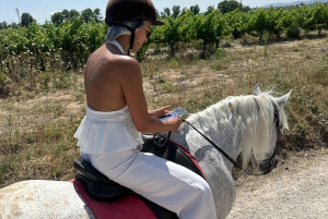 アリカンテ発：絶景の乗馬体験＆ピクニック（ホテルへのお迎え付き）