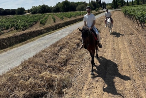 アリカンテ発：絶景の乗馬体験＆ピクニック（ホテルへのお迎え付き）