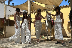 アリカンテ発：絶景の乗馬体験＆ピクニック（ホテルへのお迎え付き）