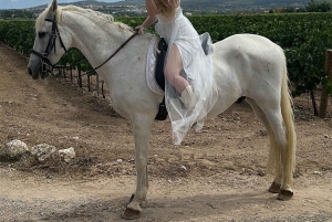 アリカンテ発：絶景の乗馬体験＆ピクニック（ホテルへのお迎え付き）