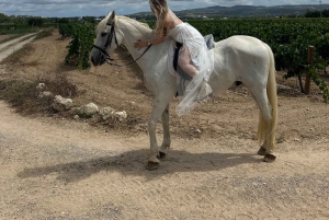 アリカンテ発：絶景の乗馬体験＆ピクニック（ホテルへのお迎え付き）