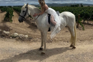 アリカンテ発：絶景の乗馬体験＆ピクニック（ホテルへのお迎え付き）