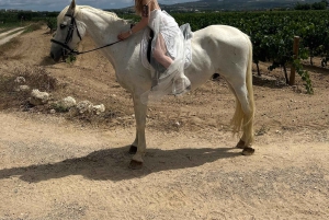 アリカンテ発：絶景の乗馬体験＆ピクニック（ホテルへのお迎え付き）