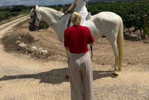 アリカンテ発：絶景の乗馬体験＆ピクニック（ホテルへのお迎え付き）