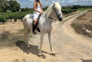 アリカンテ発：絶景の乗馬体験＆ピクニック（ホテルへのお迎え付き）