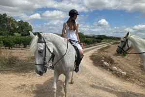 アリカンテ発：絶景の乗馬体験＆ピクニック（ホテルへのお迎え付き）