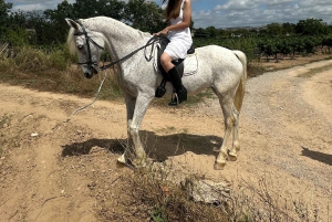 アリカンテ発：絶景の乗馬体験＆ピクニック（ホテルへのお迎え付き）