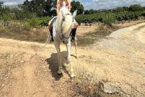 アリカンテ発：絶景の乗馬体験＆ピクニック（ホテルへのお迎え付き）