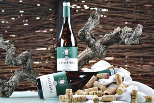 Alicante: Adega antiga com degustações e igreja em estilo Gaudí