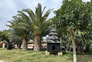 Alicante: Adega antiga com degustações e igreja em estilo Gaudí