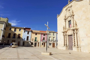 Аликанте: частная велосипедная экскурсия по пляжу и истории