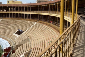 Аликанте: частный визит с гидом на арену для корриды и музей Аликанте