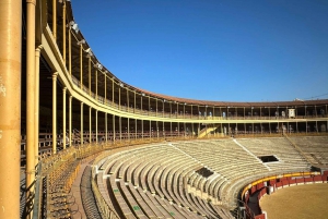 Аликанте: частный визит с гидом на арену для корриды и музей Аликанте