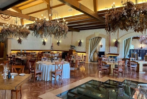 Vinresa med 3 provsmakningar och Castillo La Mola: Liten grupp