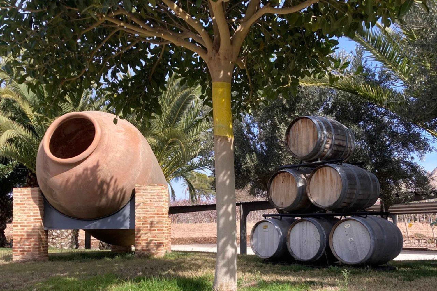 アリカンテ／ベニドルム：ワインの試飲ツアー、移動サービス、ラ・モラ城