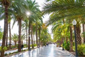 Alles van Alicante met kasteel, markt en tapas. Kleine groep van max. 6 personen