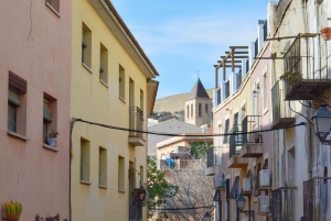 Alles van Alicante met kasteel, markt en tapas. Kleine groep van max. 6 personen