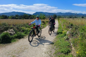 デニア：電動マウンテンバイクでモンゴ山脈を巡るツアー
