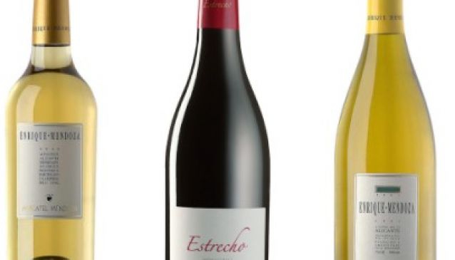 Enrique Mendoza Bodega