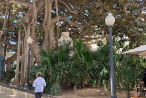 From Albir and Benidorm: Day Trip to Alicante by Coach