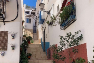From Albir and Benidorm: Day Trip to Alicante by Coach