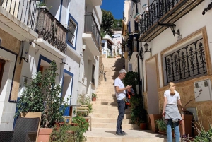 From Albir and Benidorm: Day Trip to Alicante by Coach