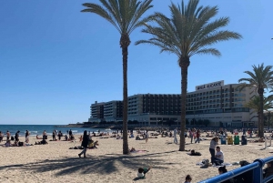 From Albir and Benidorm: Day Trip to Alicante by Coach