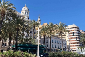 From Albir and Benidorm: Day Trip to Alicante by Coach