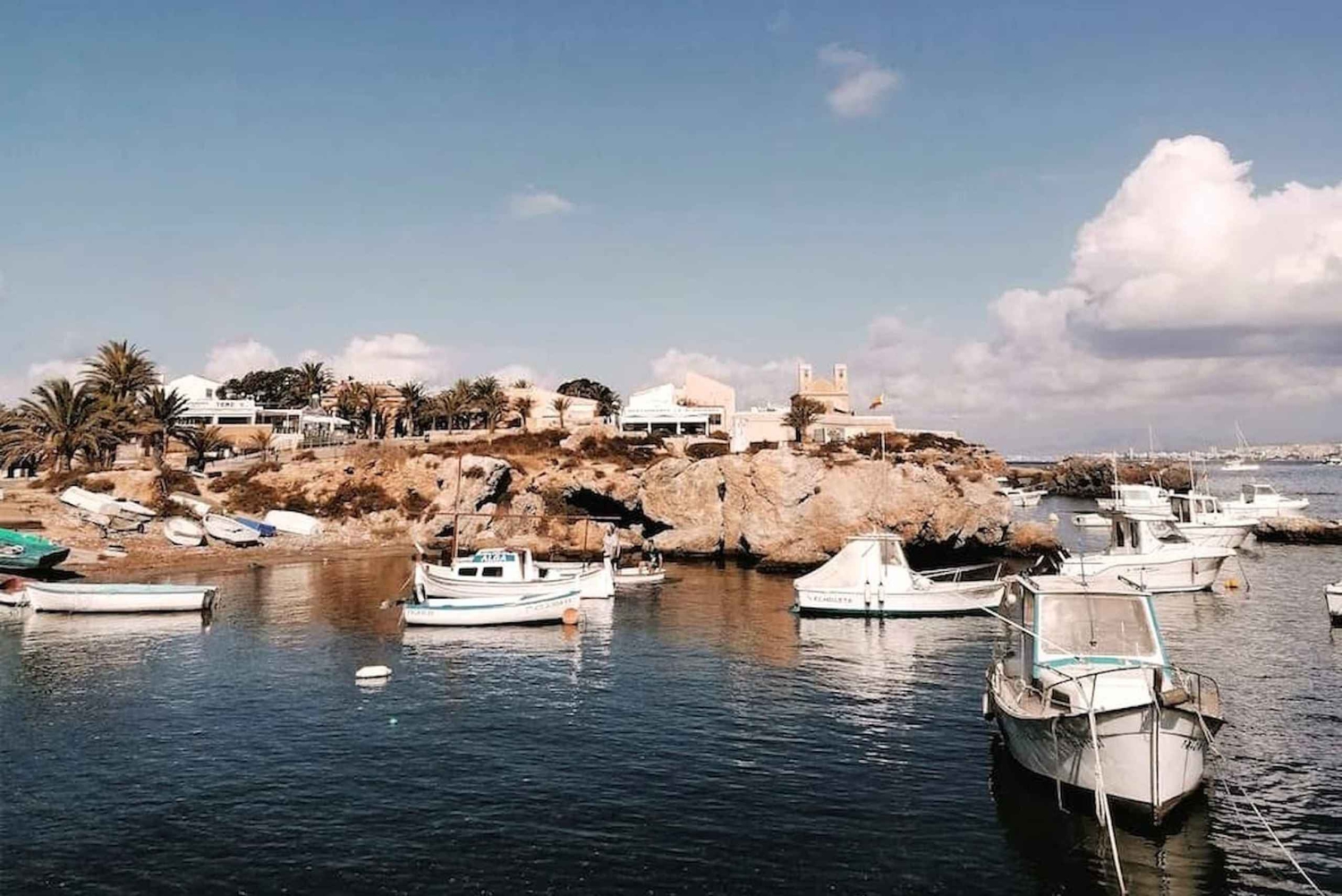 アリカンテ/トレベイエハ：フェリーでタバルカ島、サンタ・ポラ、ラグナ・ロサへの小旅行