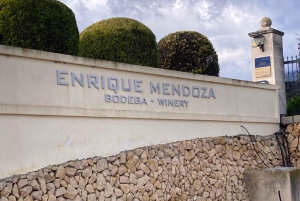 アリカンテ／ベニドルムで最高のワイナリーツアー（テイスティング付き）をお楽しみください