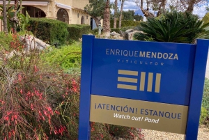 アリカンテ／ベニドルムで最高のワイナリーツアー（テイスティング付き）をお楽しみください