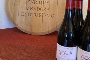 アリカンテ／ベニドルムで最高のワイナリーツアー（テイスティング付き）をお楽しみください