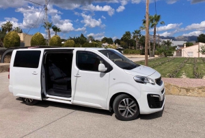 アリカンテ／ベニドルムで最高のワイナリーツアー（テイスティング付き）をお楽しみください