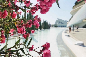 Desde Alicante: tour guiado de día completo por Valencia