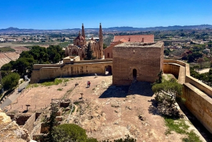 Vinresa med 3 provsmakningar och Castillo La Mola: Liten grupp