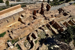 Vinresa med 3 provsmakningar och Castillo La Mola: Liten grupp