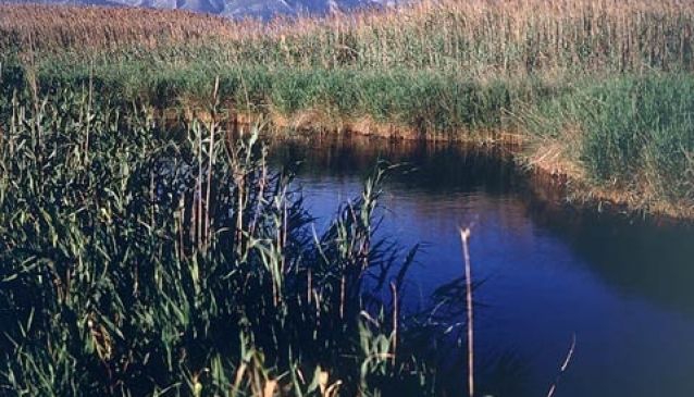 Pego-Oliva Parco Naturale Marjal