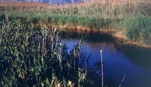 Pego-Oliva Parco Naturale Marjal