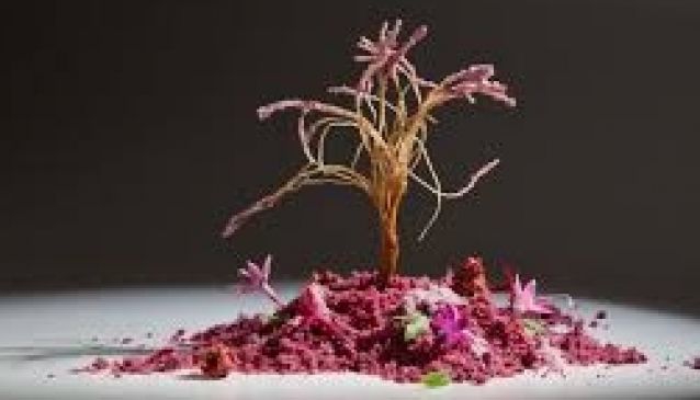 De beste restaurantene i Alicante