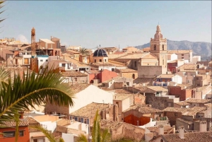 Pasarela colgante de Relleu y Sabores Auténticos del Pueblo con traslados