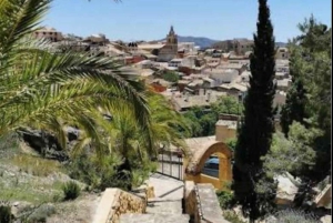 Pasarela colgante de Relleu y Sabores Auténticos del Pueblo con traslados