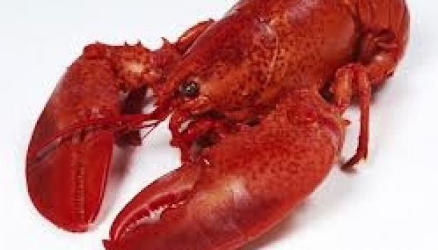 Il Ristorante Gamberi